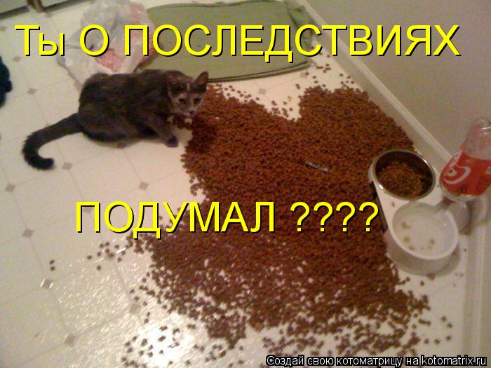 Котоматрица: Ты О ПОСЛЕДСТВИЯХ ПОДУМАЛ ????
