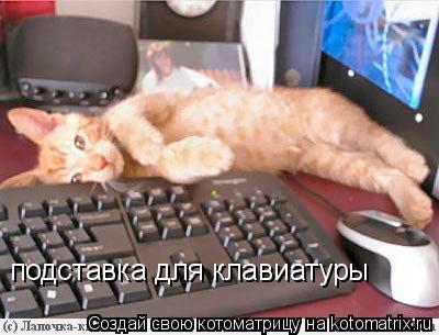 Котоматрица: подставка для клавиатуры