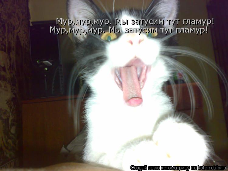 Котоматрица: Мур,мур,мур. Мы затусим тут гламур! Мур,мур,мур. Мы затусим тут гламур!
