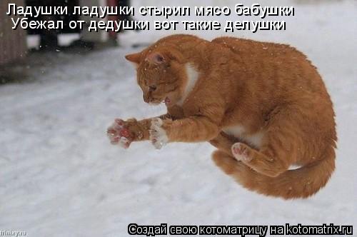 Котоматрица: Ладушки ладушки стырил мясо бабушки Убежал от дедушки вот такие делушки