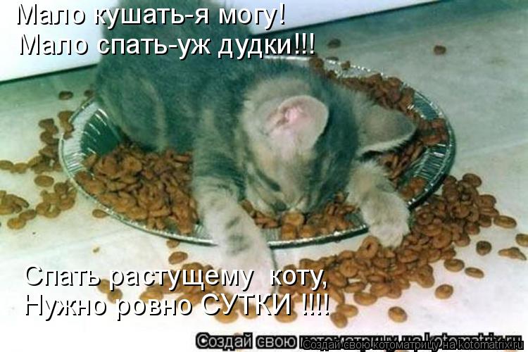 Мало кушать-я могу! Мало спать-уж дудки!!! Спать растущему коту, Нужно ровно СУТКИ !!!!... Котоматрица: Мало кушать-я могу! Мало спать-уж дудки!!! Спать растущему коту, Нужно ровно СУТКИ !!!!
