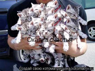 Котоматрица: Охапка счастья
