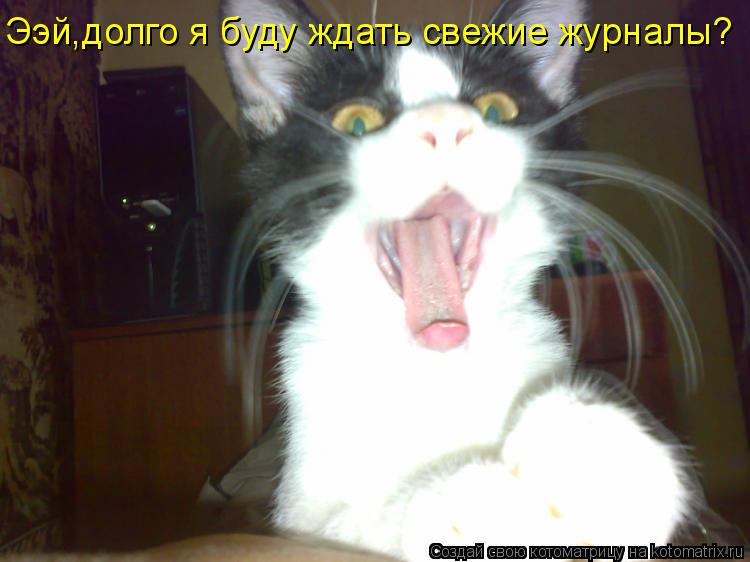 Котоматрица: Ээй,долго я буду ждать свежие журналы?