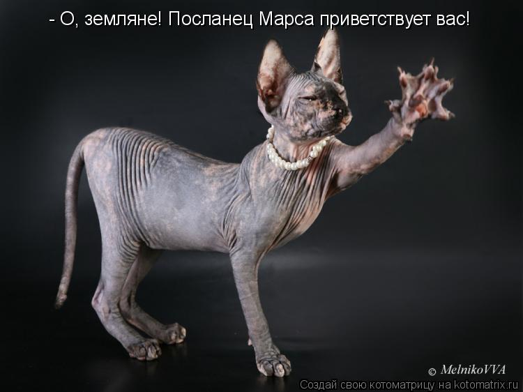 Котоматрица: - О, земляне! Посланец Марса приветствует вас!