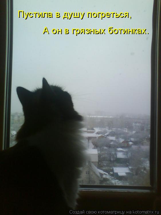 Пустила в душу погреться, А он в грязных ботинках.... Котоматрица: Пустила в душу погреться, А он в грязных ботинках.