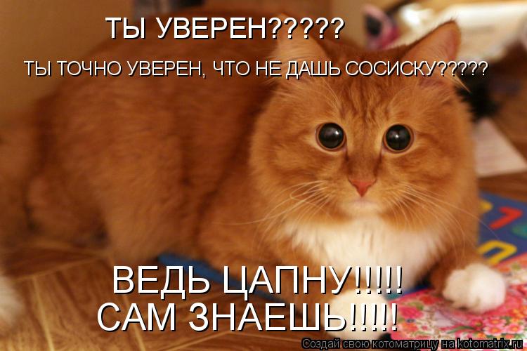 ТЫ УВЕРЕН????? ТЫ ТОЧНО УВЕРЕН, ЧТО НЕ ДАШЬ СОСИСКУ????? ВЕДЬ ЦАПНУ!!!!! САМ ЗНАЕШЬ!!!!!... Котоматрица: ТЫ УВЕРЕН????? ТЫ ТОЧНО УВЕРЕН, ЧТО НЕ ДАШЬ СОСИСКУ????? ВЕДЬ ЦАПНУ!!!!! САМ ЗНАЕШЬ!!!!!