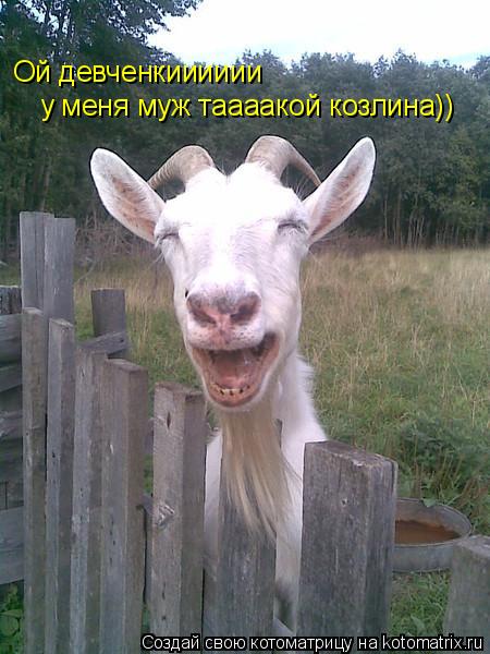 Ой девченкииииии у меня муж таааакой козлина))... Котоматрица: Ой девченкииииии у меня муж таааакой козлина))