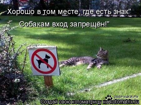 Хорошо в том месте, где есть знак" Собакам вход запрещён!"... Котоматрица: Хорошо в том месте, где есть знак" Собакам вход запрещён!"