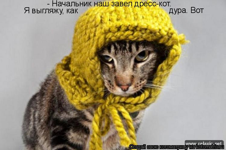 Котоматрица: - Начальник наш завел дресс-кот.  Я выгляжу, как  дура. Вот