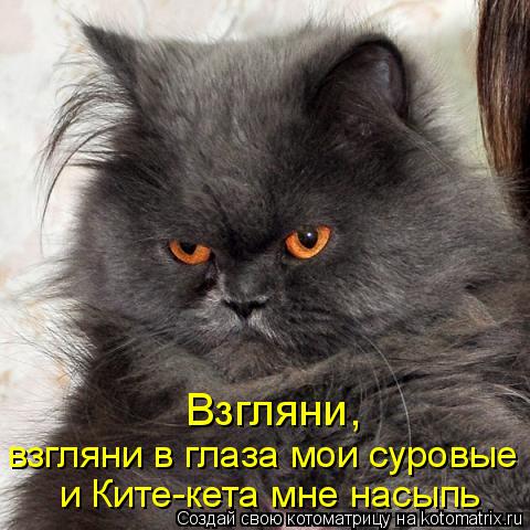 Котоматрица: Взгляни,  взгляни в глаза мои суровые и Ките-кета мне насыпь