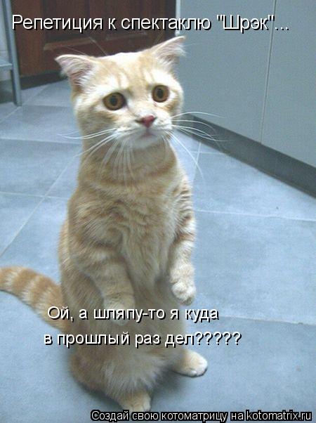 Котоматрица: Репетиция к спектаклю "Шрэк"... Ой, а шляпу-то я куда дел??? Репетиция к спектаклю "Шрэк"...  Ой, а шляпу-то я куда  в прошлый раз дел?????