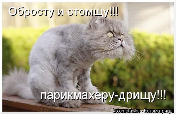 Котоматрица: парикмахеру-дрищу!!! Обросту и отомщу!!!