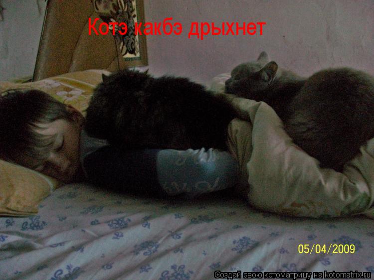Котоматрица: Котэ какбэ дрыхнет