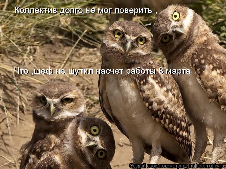 Котоматрица: Коллектив долго не мог поверить , Что ,шеф не шутил насчет работы 8 марта