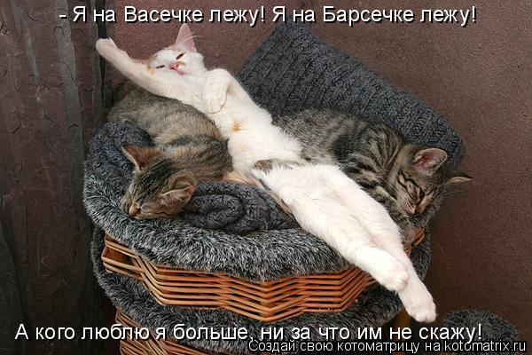 Котоматрица: - Я на Васечке лежу! Я на Барсечке лежу! А кого люблю я больше, ни за что им не скажу!