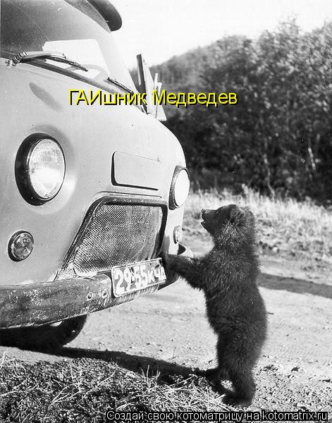 Котоматрица: ГАИшник Медведев