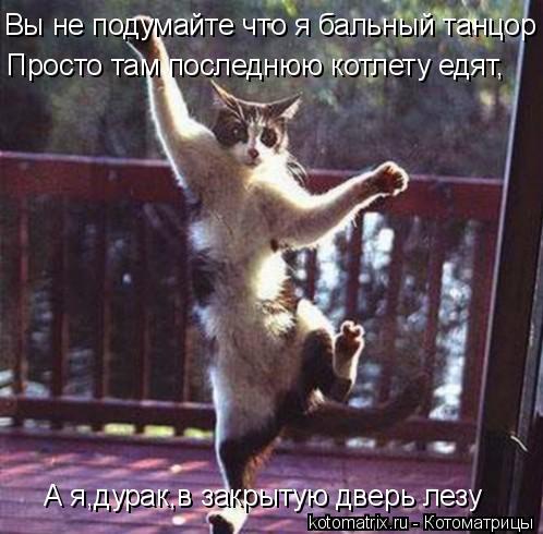 Котоматрица: Вы не подумайте что я бальный танцор Просто там последнюю котлету едят, А я,дурак,в закрытую дверь лезу