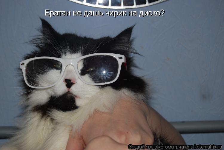 Котоматрица: Братан не дашь чирик на диско?