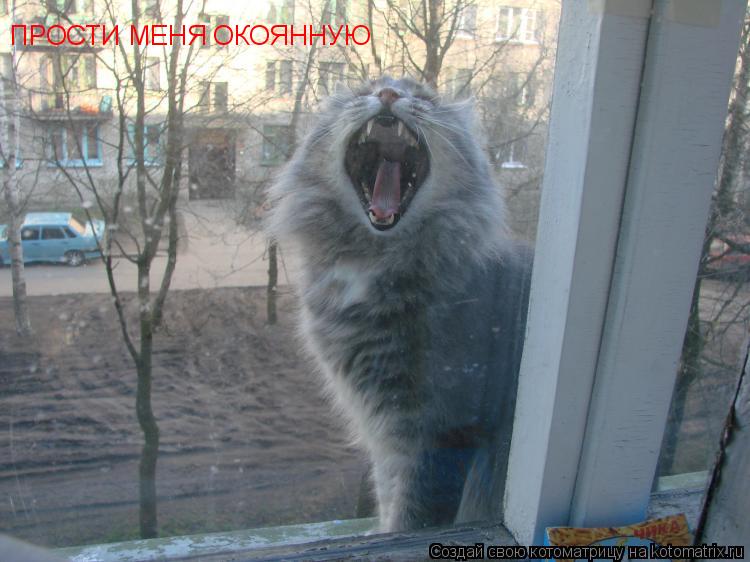 Котоматрица: ПРОСТИ МЕНЯ ОКОЯННУЮ