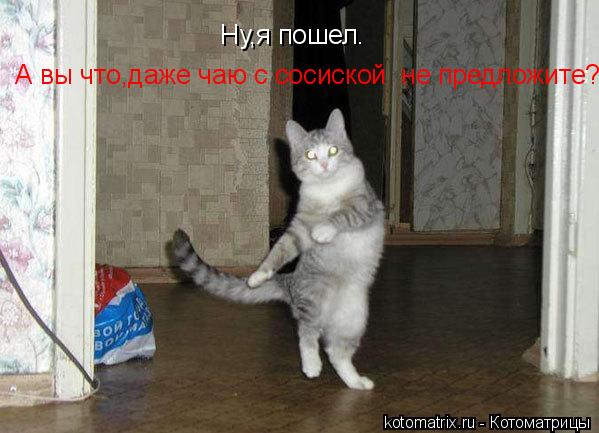 Котоматрица: Ну,я пошел.  А вы что,даже чаю с сосиской  не предложите?