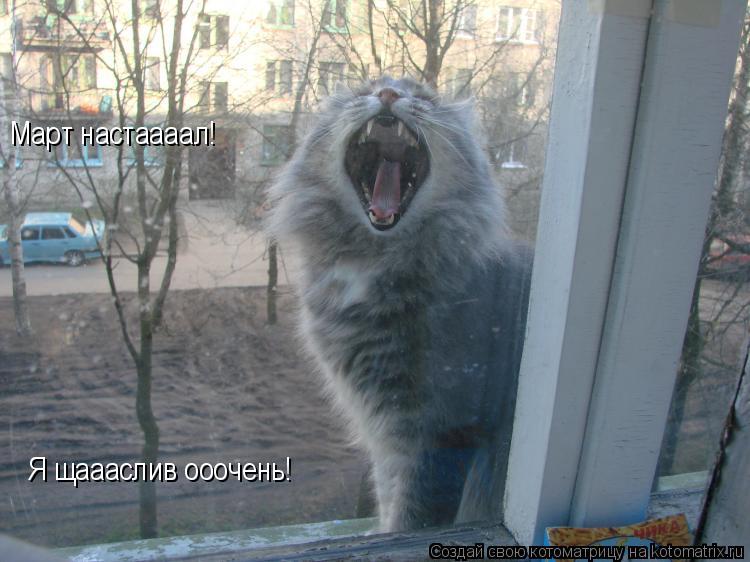 Котоматрица: Март настаааал!  Я щаааслив ооочень!