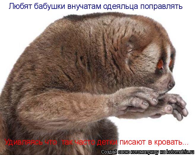 Котоматрица: Любят бабушки внучатам одеяльца поправлять Удивляясь что  так часто детки писают в кровать...