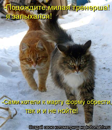 Котоматрица: -Подождите,милая тренерша! я запыхался! -Сами хотели к марту форму обрести, так и и не нойте!