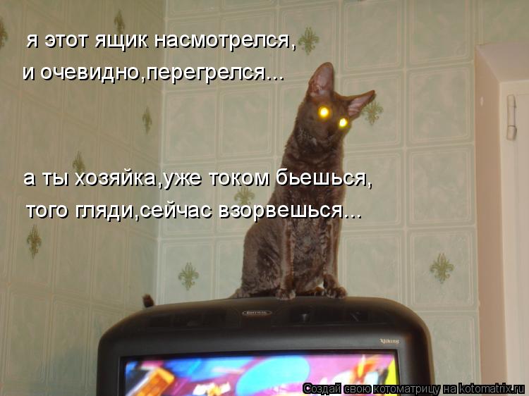 Котоматрица: я этот ящик насмотрелся, и очевидно,перегрелся... а ты хозяйка,уже током бьешься, того гляди,сейчас взорвешься...
