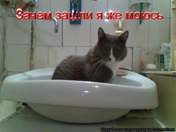 Котоматрица: З Зачем зашли я же моюсь Зачем зашли я же моюсь