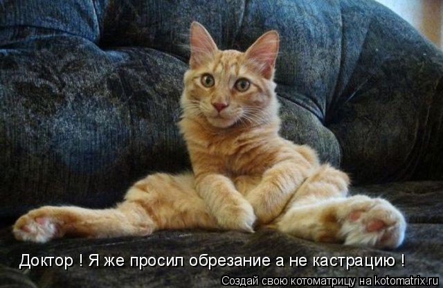 Котоматрица: Доктор ! Я же просил обрезание а не кастрацию !