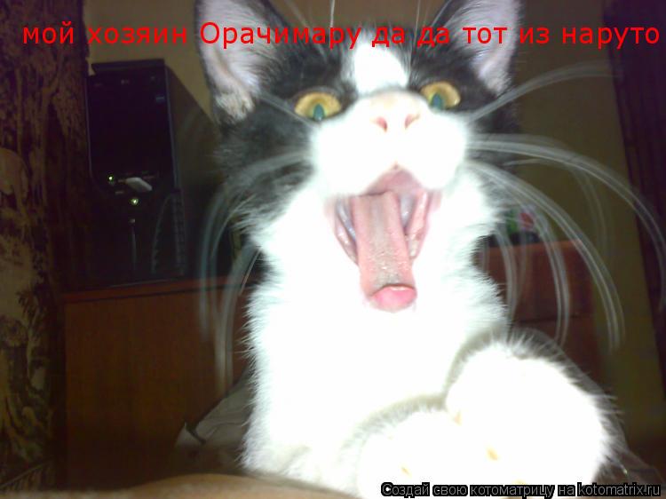 Котоматрица: мой хозяин Орачимару да да тот из наруто