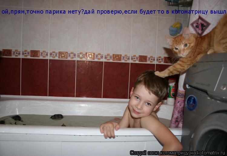 Котоматрица: ой,прям,точно парика нету?дай проверю,если будет то в котоматрицу вышлю!