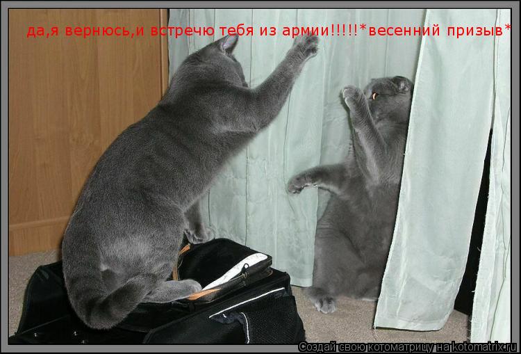 Котоматрица: да,я вернюсь,и встречю тебя из армии!!!!!*весенний призыв*