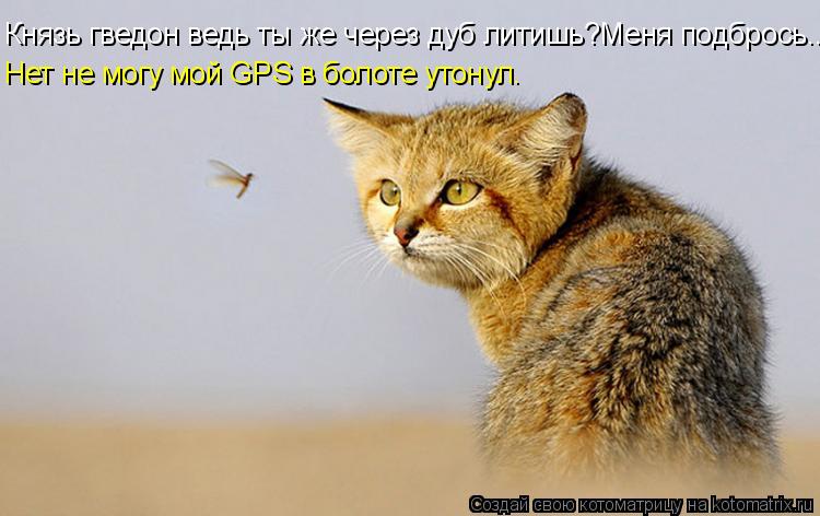 Котоматрица: Князь гведон ведь ты же через дуб литишь?Меня подбрось... Нет не могу мой GPS в болоте утонул.