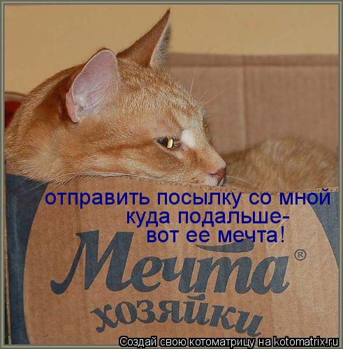 Котоматрица: отправить посылку со мной куда подальше- вот ее мечта!