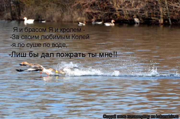 Анекдоты не догоню так согреюсь Анекдоты не догоню так согреюсь