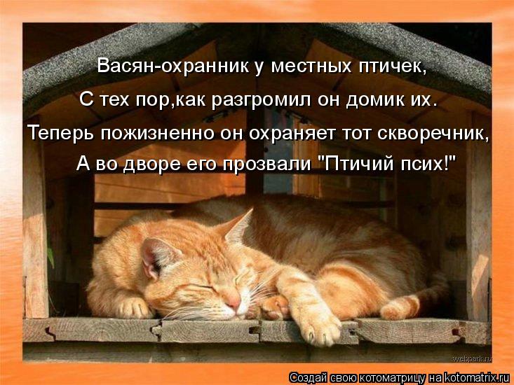 Котоматрица: Васян-охранник у местных птичек, С тех пор,как разгромил он домик их. Теперь пожизненно он охраняет тот скворечник, А во дворе его прозвали "