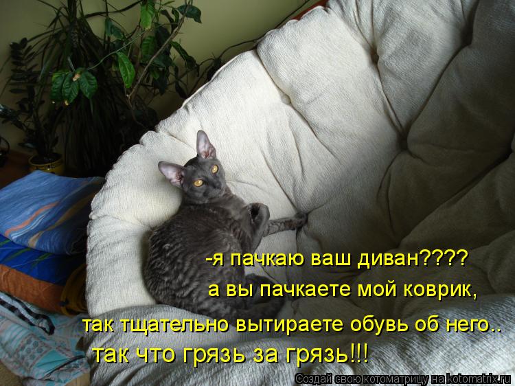 Котоматрица: -я пачкаю ваш диван???? а вы пачкаете мой коврик, так тщательно вытираете обувь об него.. так что грязь за грязь!!!