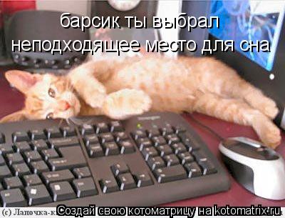 Котоматрица: барсик ты выбрал                      неподходящее место для сна