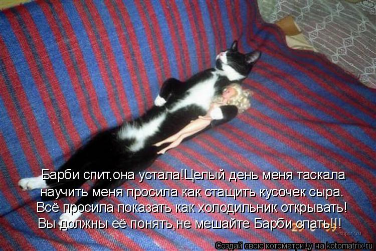 Котоматрица: Барби спит,она устала!Целый день меня таскала научить меня просила как стащить кусочек сыра. Всё просила показать как холодильник открыват
