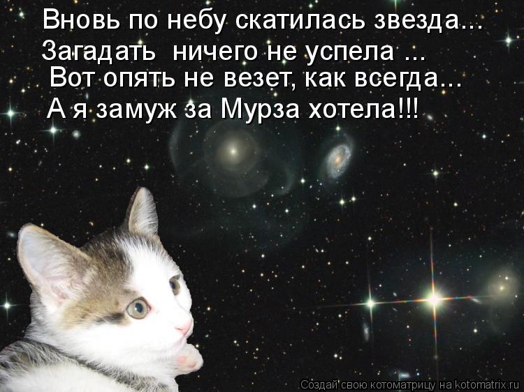 Вновь по небу скатилась звезда... Загадать ничего не успела ... Вот опять не везет, как всегда... А... Котоматрица: Вновь по небу скатилась звезда... Загадать ничего не успела ... Вот опять не везет, как всегда... А я замуж за Мурза хотела!!!