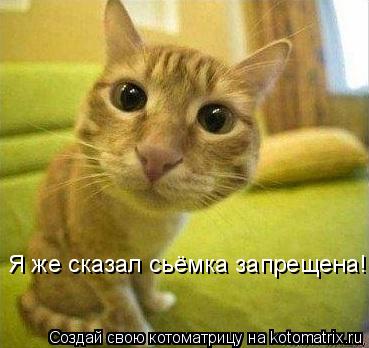 Котоматрица: Я же сказал сьёмка запрещена!
