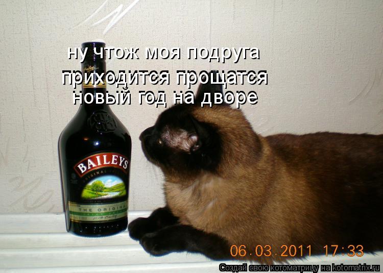 Котоматрица: приходится прощатся новый год на дворе новый год на дворе приходится прощатся ну чтож моя подруга