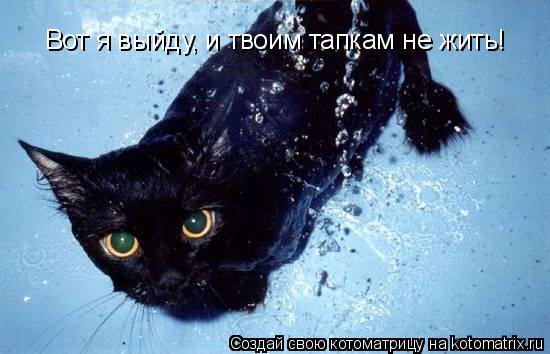 Котоматрица: Вот я выйду, и твоим тапкам не жить!
