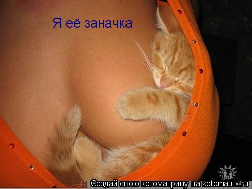 Котоматрица: Я её заначка