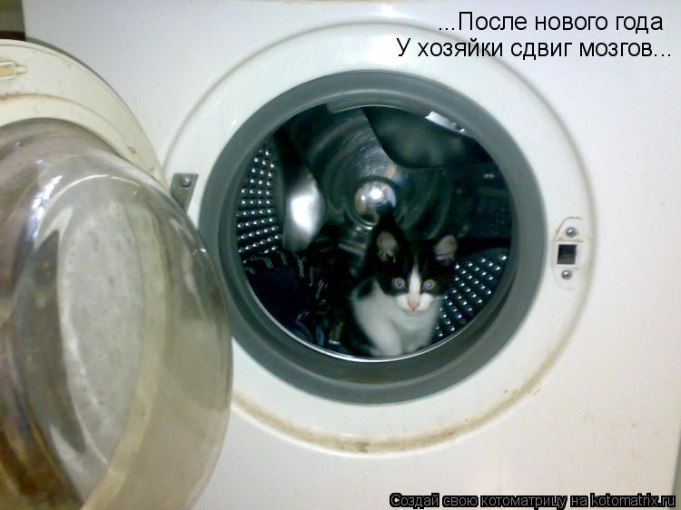 Котоматрица: ...После нового года У хозяйки сдвиг мозгов...