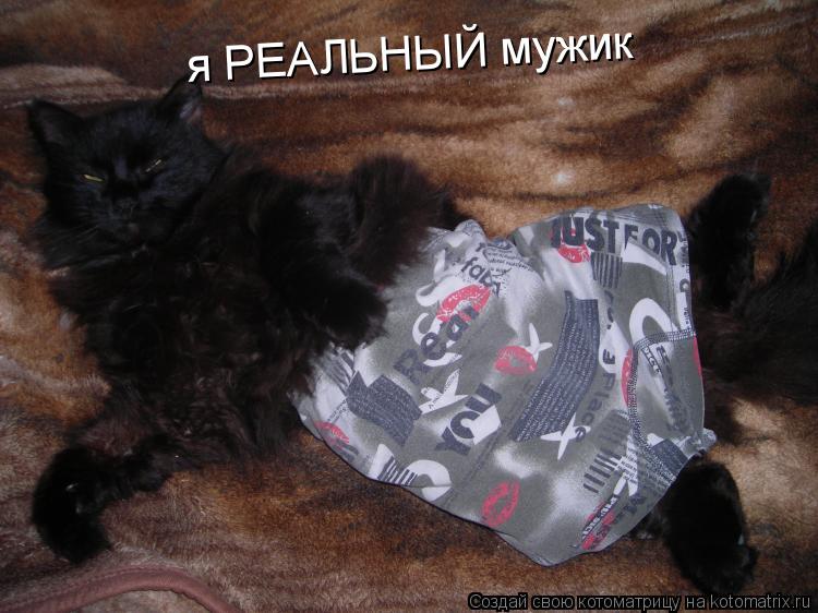 Котоматрица: я РЕАЛЬНЫЙ мужик
