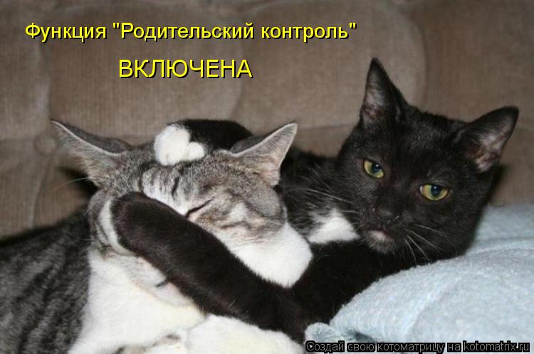 Котоматрица: Функция "Родительский контроль"  ВКЛЮЧЕНА