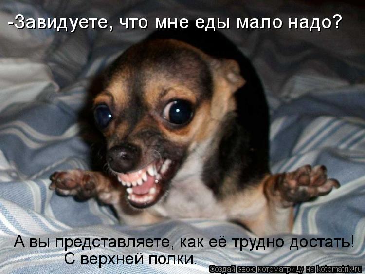 Котоматрица: -Завидуете, что мне еды мало надо? А вы представляете, как её трудно достать! С верхней полки.
