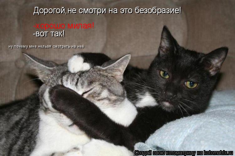 Котоматрица: Дорогой,не смотри на это безобразие! -хорошо милая! -вот так! ну почему мне нельзя смотреть на неё